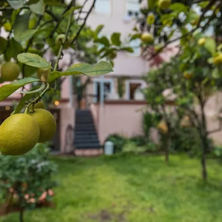 Secret Garden House Apartment *