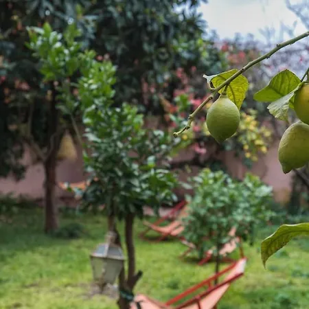 Apartment Secret Garden House Lisbon