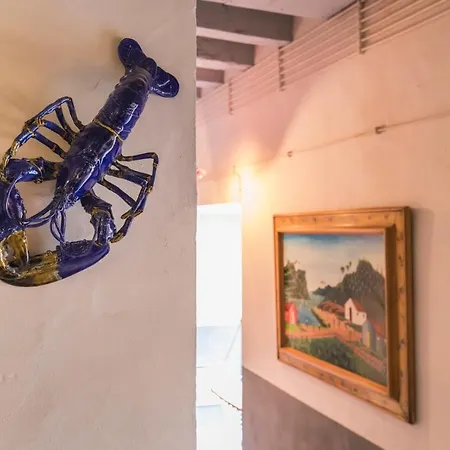 Secret Garden House Lisbon